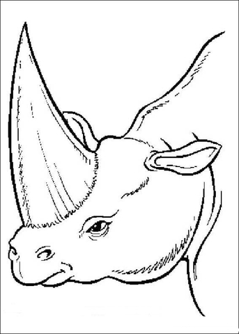 Prehistoric Rhino Coloring Page